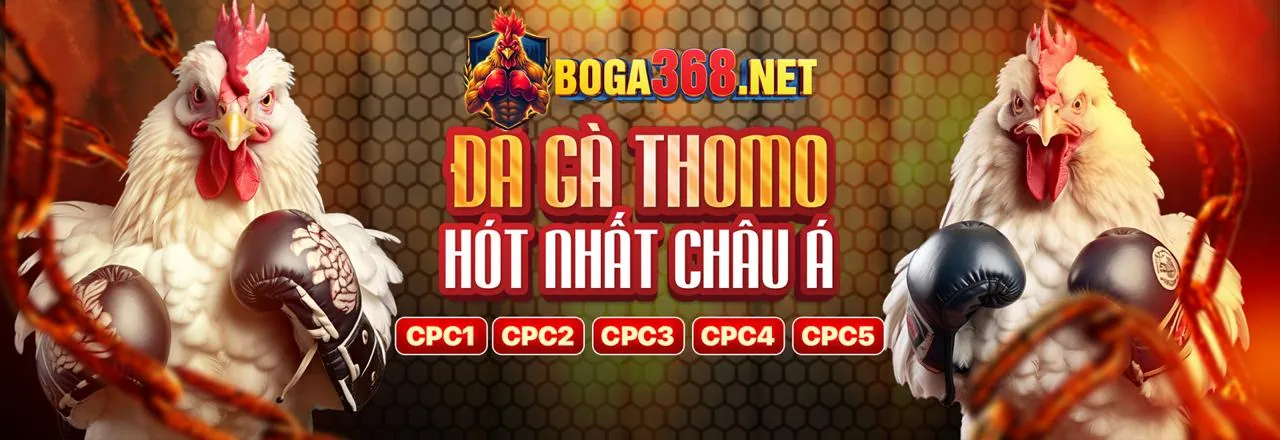 Sảnh Casino Trực Tuyến cwin09 Link Vào